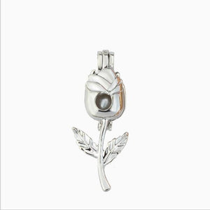 More Than 20 styles Pearl Cage Jewelry Findings Cage Locket Pendant Essential Oil Diffuser Locket For Oyster Pearl Women Girl