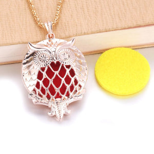 1pcs Aroma Diffuser Necklace Open Antique Vintage Lockets Pendant Perfume Essential Oil Aromatherapy Locket Necklace With Pads